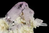 Pristine, Amethyst Crystal Cluster - Las Vigas, Mexico #165622-2